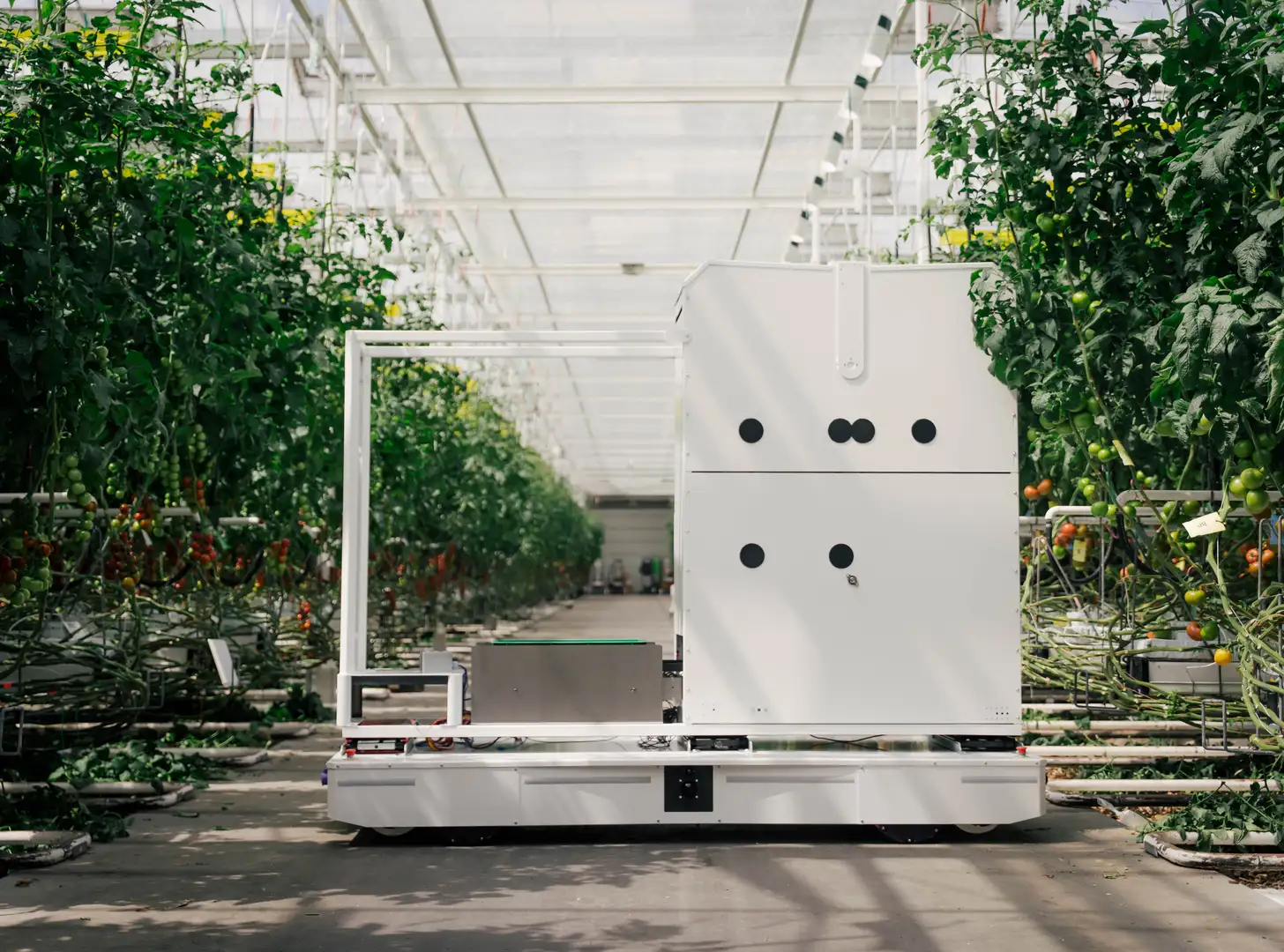 Harvester robot overview in greenhouse